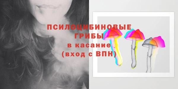 mdpv Горно-Алтайск