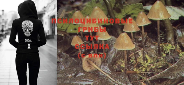 меф Нефтегорск