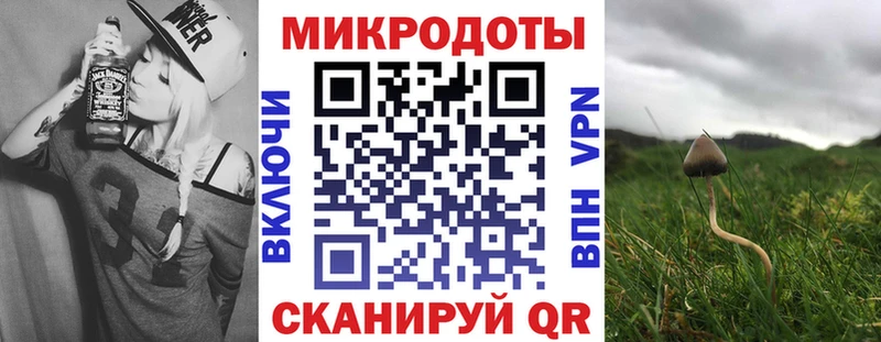 MEGA ссылка  даркнет клад  Галлюциногенные грибы прущие грибы  Отрадный 